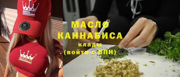 индика Нефтегорск