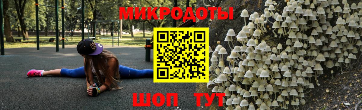 даркнет сайт  Канаш  Галлюциногенные грибы Psilocybe  Псилоцибиновые грибы прущие грибы 