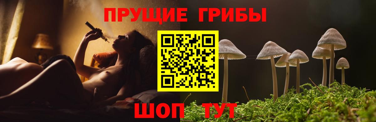 Псилоцибиновые грибы Magic Shrooms Канаш